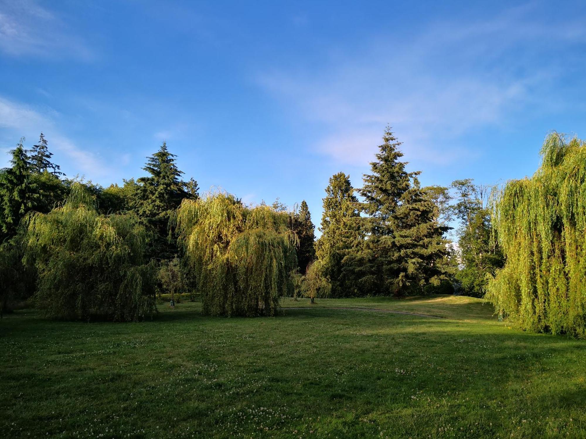 Entire Forest Home Near Nature & Amenities Surrey Zewnętrze zdjęcie